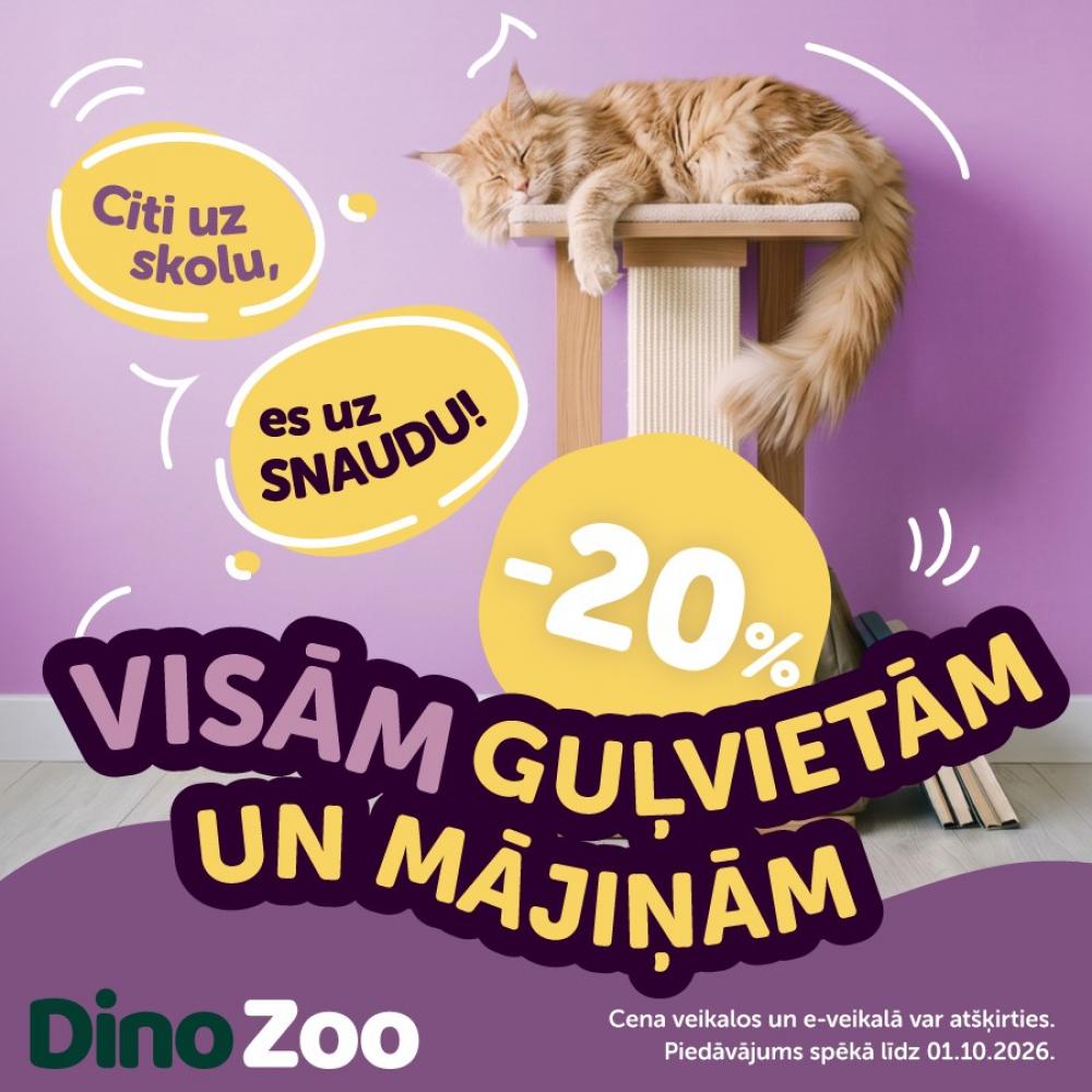 🐩 Izvēlies mīkstu guļvietu vai skaistu kaķu mājiņu savam mīlulim! 🐈