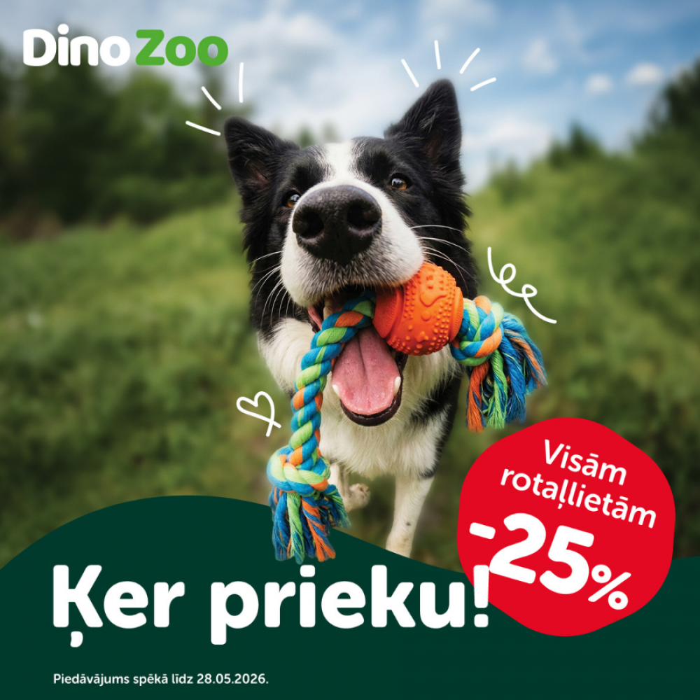 🐕 Iepriecini mīluli ar jaunu rotaļlietu vai vairākām! 🐈
